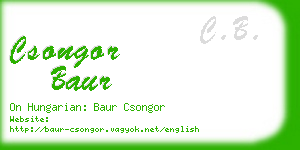 csongor baur business card